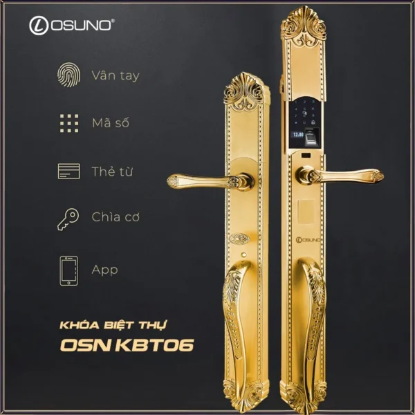 Khóa Vân Tay Cho Biệt Thự Đồng Mạ Vàng 24K OSN-KBT06 - Hình ảnh 3