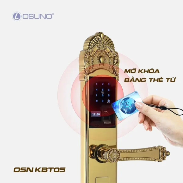 Khóa Vân Tay Biệt Thư Cao Cấp OSN-KBT05 - Hình ảnh 4