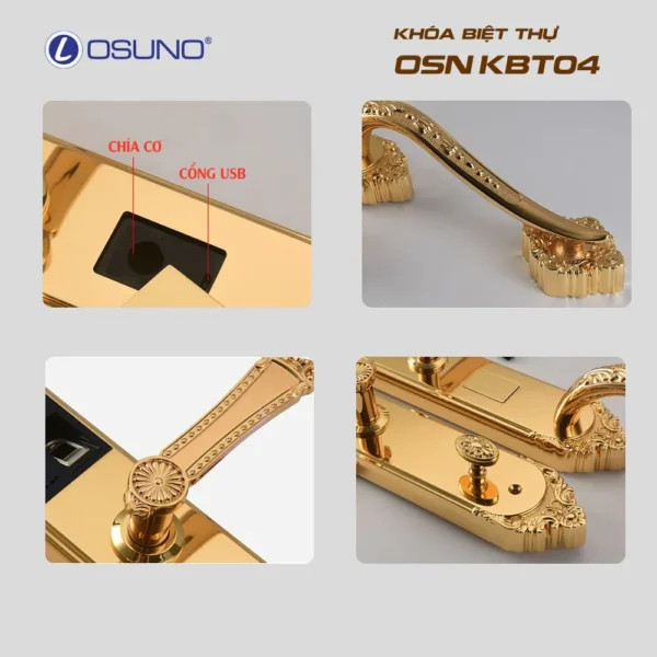 Khóa Biệt Thự Mạ Vàng 24K OSN-KBT04 - Hình ảnh 3